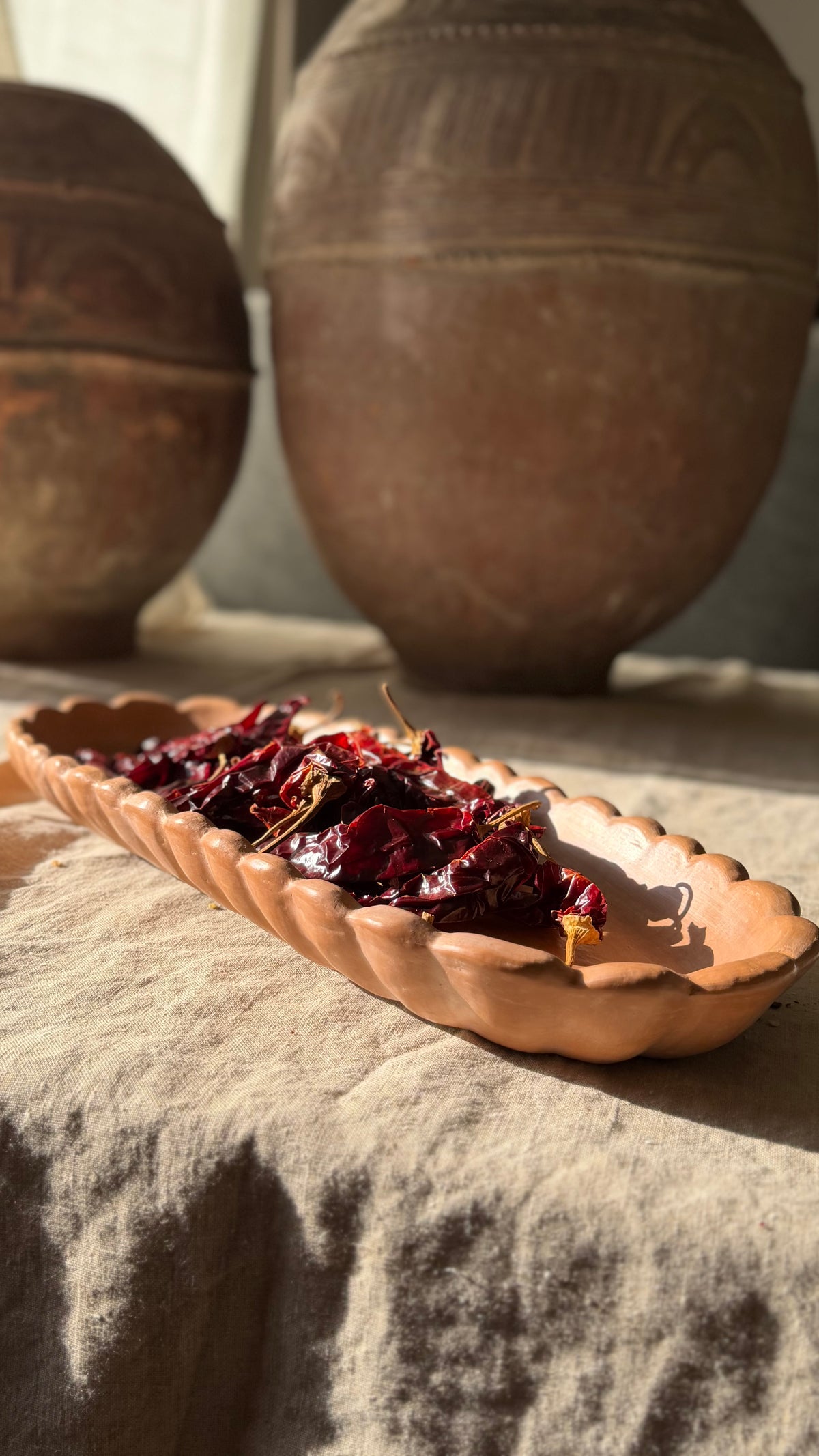 Cosecha Tray