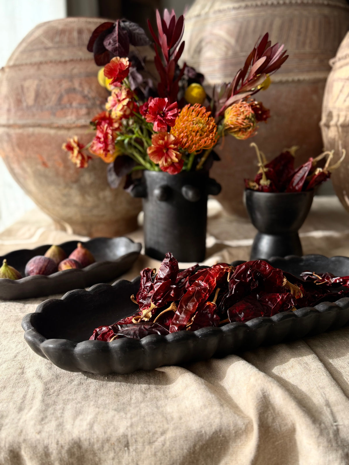 Cosecha Tray