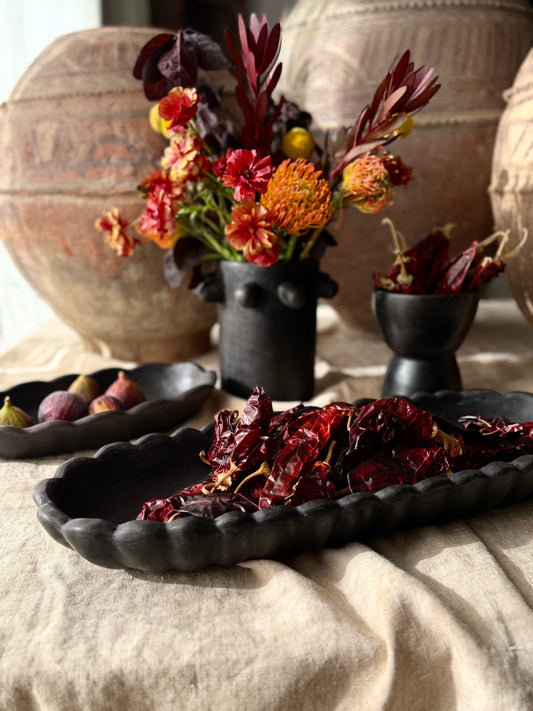 Cosecha Tray